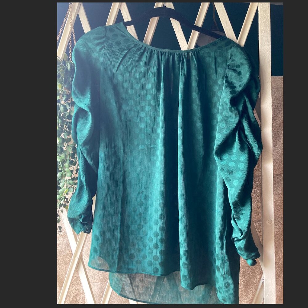 Emerald Green 3/4 Sleeved Max Studio Blouse